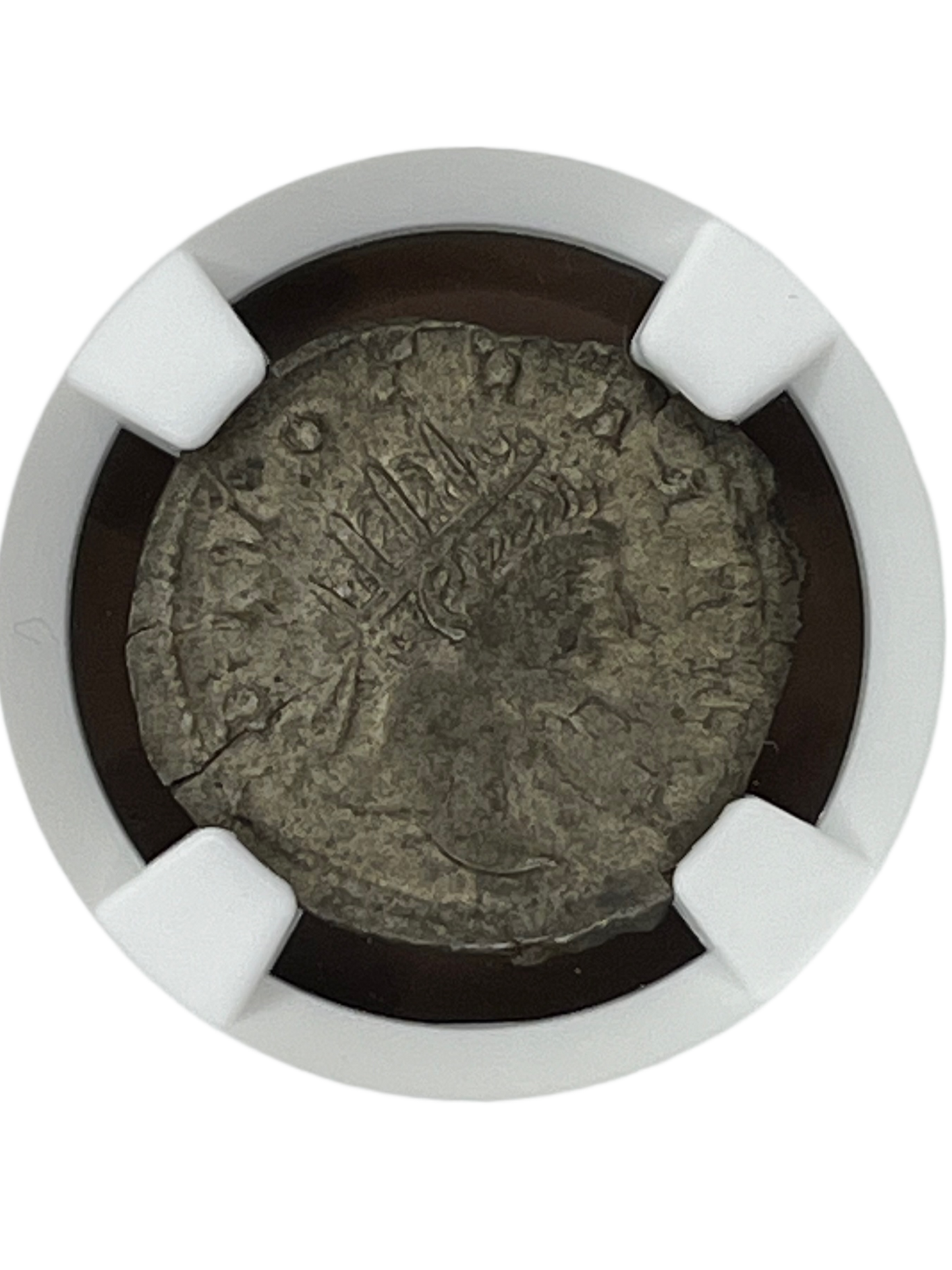 Trajan (98-117 AD) ~ AR Double-Denarius ~ NGC Choice Extra Fine