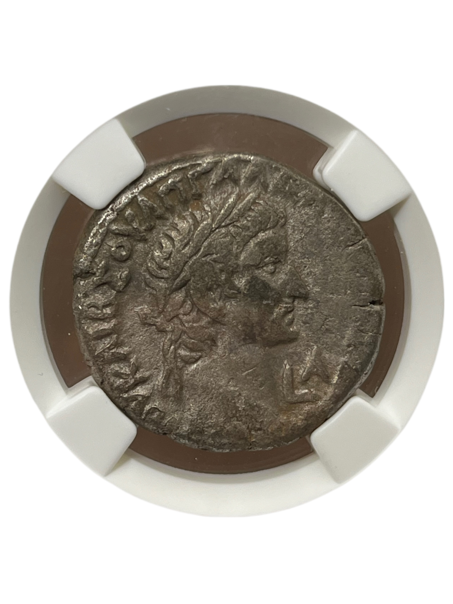 Galba (68-69 AD) ~ BI Tetradrachm ~ NGC Choice Very Fine