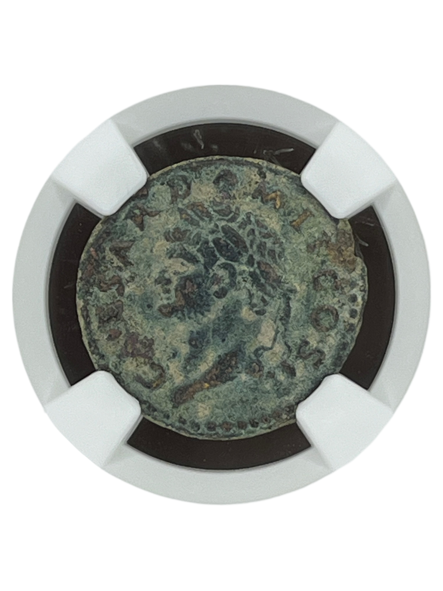 Domitian (81 -96 AD) ~ AE As ~ NGC Very Fine