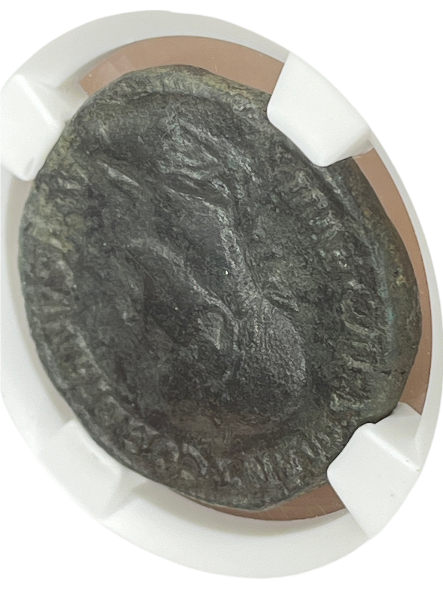 Gordian III (238-244 AD) ~ AE Sestertius ~ NGC Very Fine