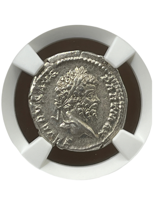 Septimius Severus (193-211 AD) ~ AR Denarius ~ NGC Choice Extra Fine