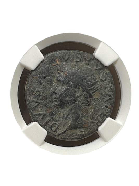 Augustus (27 BC -14 AD) ~ AE As ~ NGC Almost Good