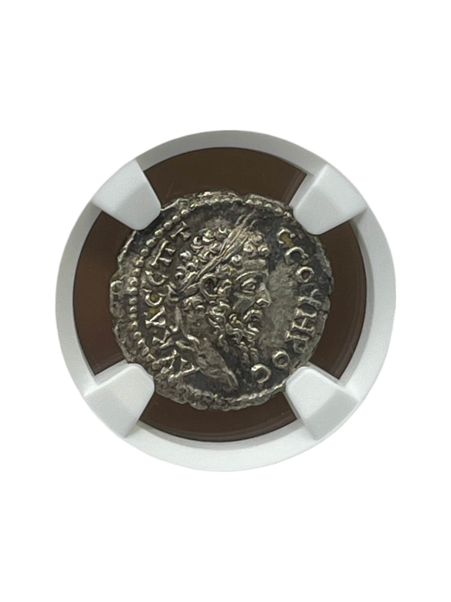 Septimius Severus (193-211 AD) ~ AR Drachm ~ NGC Choice Extra Fine