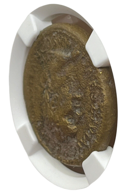 Domitian (81 -96 AD) ~ AE Dupondius ~ NGC Very Fine