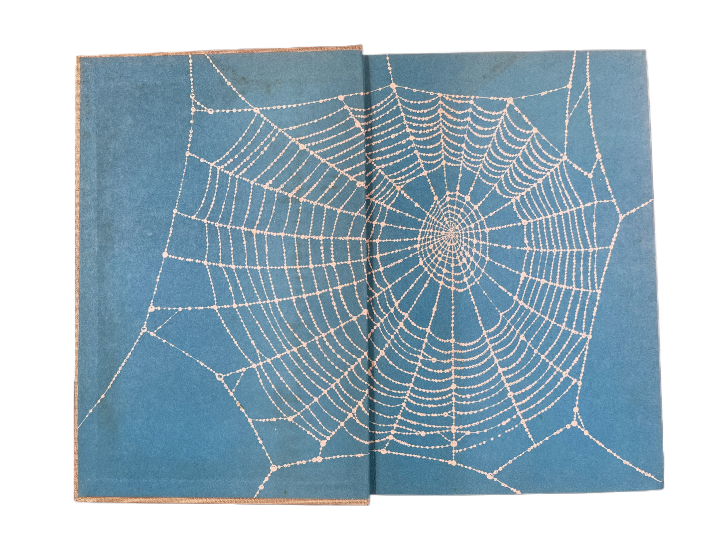 Charlotte's Web ~ E.B. White, Garth Williams