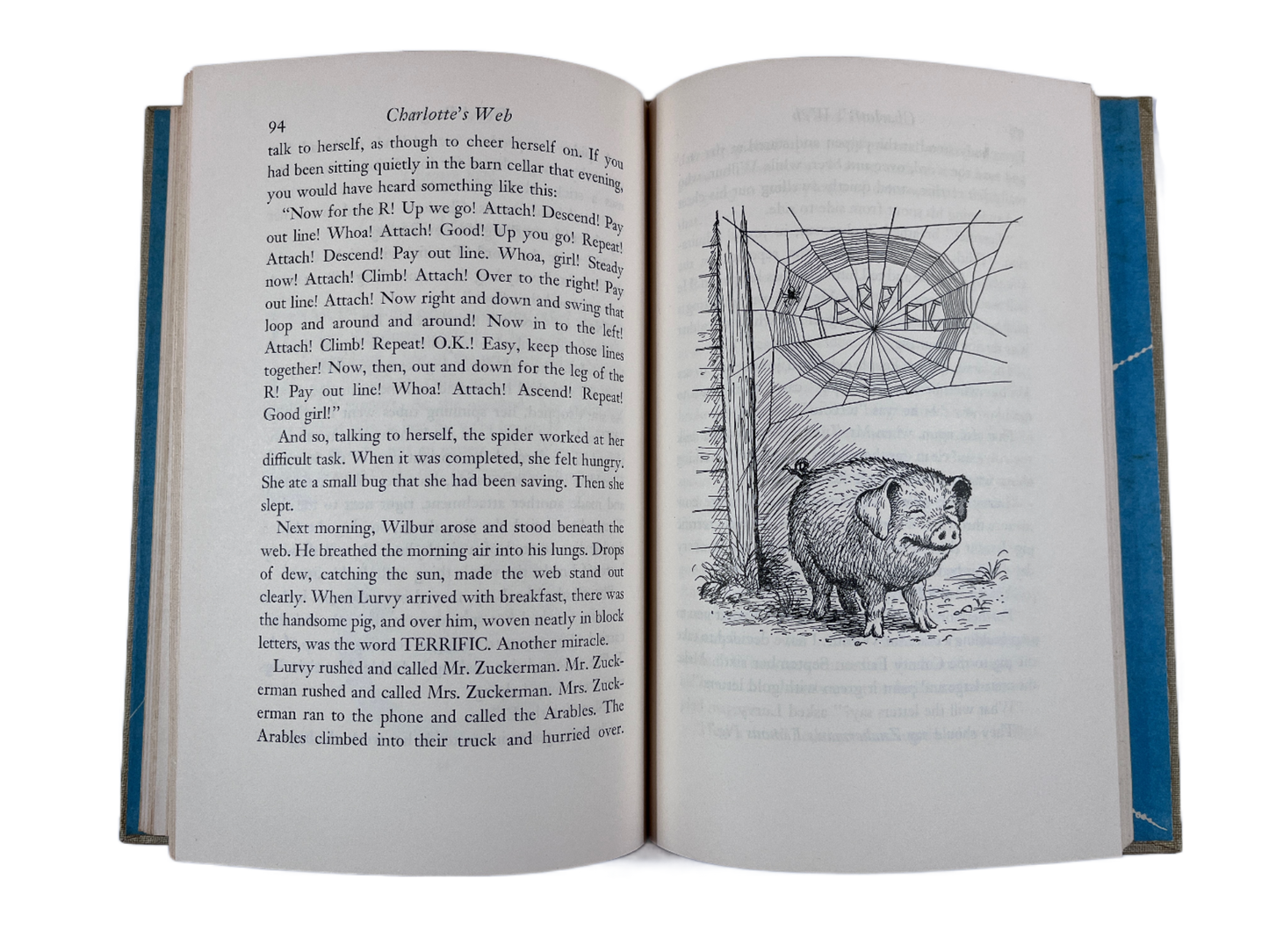 Charlotte's Web ~ E.B. White, Garth Williams