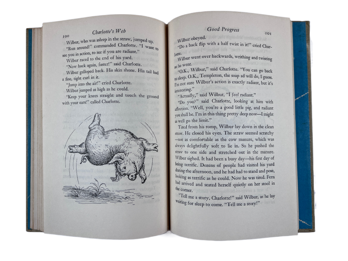 Charlotte's Web ~ E.B. White, Garth Williams