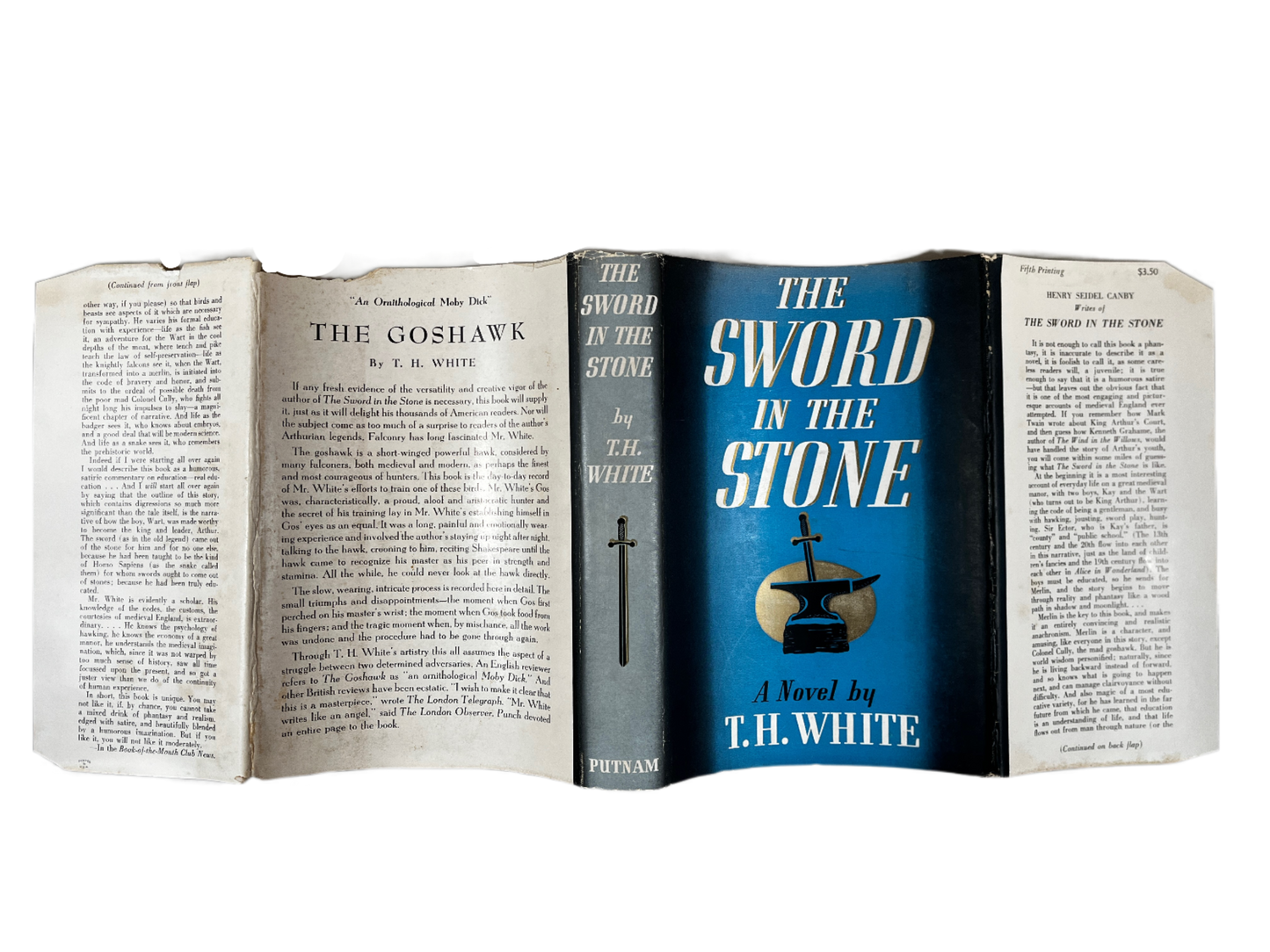 The Sword in the Stone ~ T.H. White